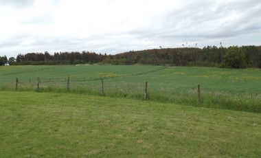 Se vende hermoso campo en la Comuna de La Comuna de La Union Region de los Rios