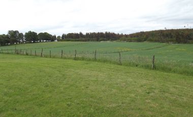 Se vende hermoso campo en la Comuna de La Comuna de La Union Region de los Rios