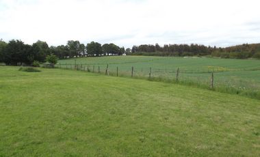 Se vende hermoso campo en la Comuna de La Comuna de La Union Region de los Rios