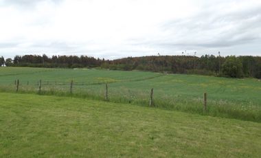 Se vende hermoso campo en la Comuna de La Comuna de La Union Region de los Rios