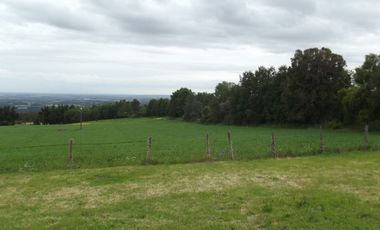 Se vende hermoso campo en la Comuna de La Comuna de La Union Region de los Rios