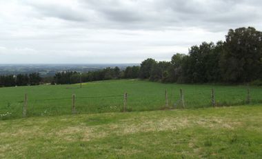 Se vende hermoso campo en la Comuna de La Comuna de La Union Region de los Rios