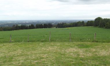 Se vende hermoso campo en la Comuna de La Comuna de La Union Region de los Rios