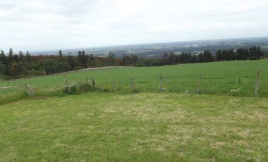 Se vende hermoso campo en la Comuna de La Comuna de La Union Region de los Rios