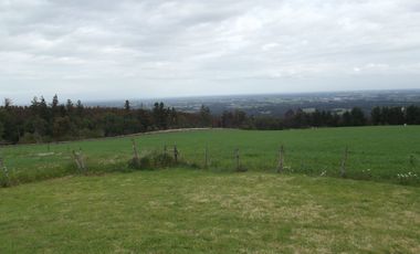 Se vende hermoso campo en la Comuna de La Comuna de La Union Region de los Rios