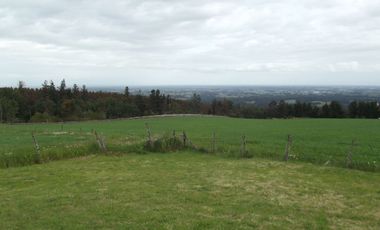 Se vende hermoso campo en la Comuna de La Comuna de La Union Region de los Rios