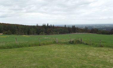Se vende hermoso campo en la Comuna de La Comuna de La Union Region de los Rios