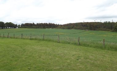 Se vende hermoso campo en la Comuna de La Comuna de La Union Region de los Rios