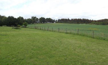 Se vende hermoso campo en la Comuna de La Comuna de La Union Region de los Rios