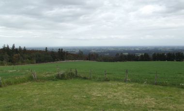 Se vende hermoso campo en la Comuna de La Comuna de La Union Region de los Rios