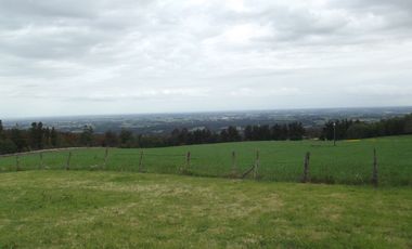 Se vende hermoso campo en la Comuna de La Comuna de La Union Region de los Rios