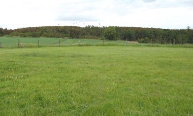 Se vende hermoso campo en la Comuna de La Comuna de La Union Region de los Rios