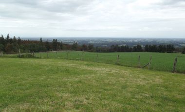 Se vende hermoso campo en la Comuna de La Comuna de La Union Region de los Rios