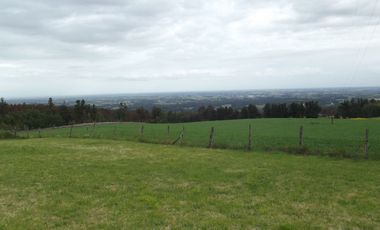 Se vende hermoso campo en la Comuna de La Comuna de La Union Region de los Rios