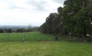 Se vende hermoso campo en la Comuna de La Comuna de La Union Region de los Rios