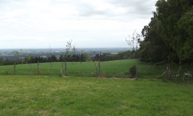 Se vende hermoso campo en la Comuna de La Comuna de La Union Region de los Rios