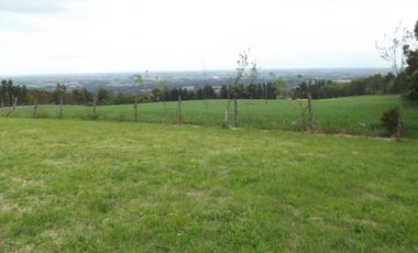 Se vende hermoso campo en la Comuna de La Comuna de La Union Region de los Rios