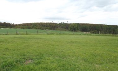 Se vende hermoso campo en la Comuna de La Comuna de La Union Region de los Rios