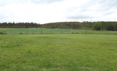 Se vende hermoso campo en la Comuna de La Comuna de La Union Region de los Rios
