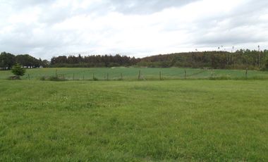 Se vende hermoso campo en la Comuna de La Comuna de La Union Region de los Rios