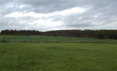 Se vende hermoso campo en la Comuna de La Comuna de La Union Region de los Rios