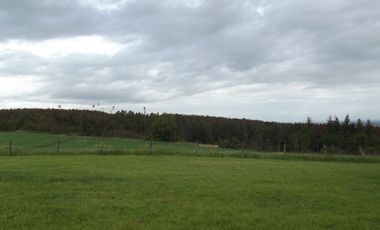 Se vende hermoso campo en la Comuna de La Comuna de La Union Region de los Rios