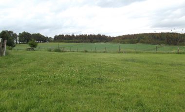 Se vende hermoso campo en la Comuna de La Comuna de La Union Region de los Rios