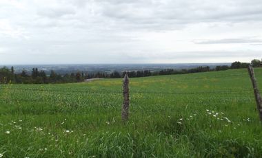 Se vende hermoso campo en la Comuna de La Comuna de La Union Region de los Rios