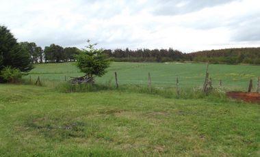 Se vende hermoso campo en la Comuna de La Comuna de La Union Region de los Rios
