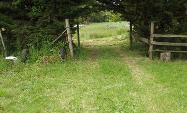 Se vende hermoso campo en la Comuna de La Comuna de La Union Region de los Rios