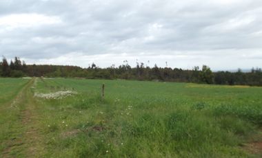 Se vende hermoso campo en la Comuna de La Comuna de La Union Region de los Rios