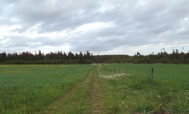 Se vende hermoso campo en la Comuna de La Comuna de La Union Region de los Rios