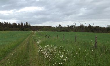 Se vende hermoso campo en la Comuna de La Comuna de La Union Region de los Rios