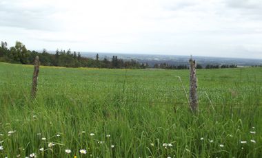 Se vende hermoso campo en la Comuna de La Comuna de La Union Region de los Rios