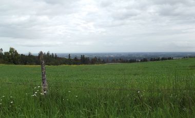 Se vende hermoso campo en la Comuna de La Comuna de La Union Region de los Rios