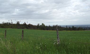 Se vende hermoso campo en la Comuna de La Comuna de La Union Region de los Rios