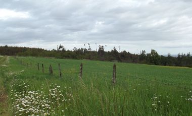 Se vende hermoso campo en la Comuna de La Comuna de La Union Region de los Rios