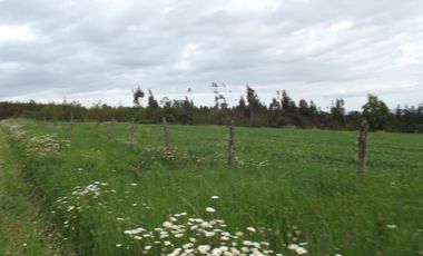 Se vende hermoso campo en la Comuna de La Comuna de La Union Region de los Rios