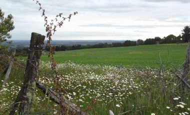 Se vende hermoso campo en la Comuna de La Comuna de La Union Region de los Rios