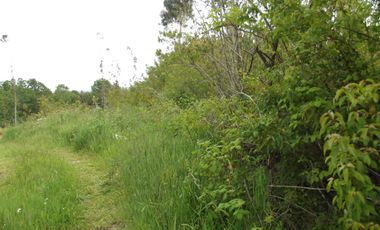 Se vende hermoso campo en la Comuna de La Comuna de La Union Region de los Rios