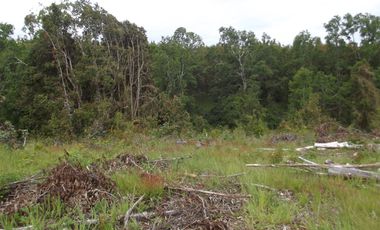 Se vende hermoso campo en la Comuna de La Comuna de La Union Region de los Rios