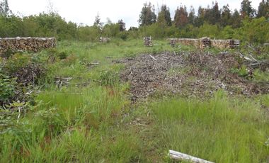 Se vende hermoso campo en la Comuna de La Comuna de La Union Region de los Rios