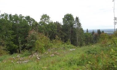 Se vende hermoso campo en la Comuna de La Comuna de La Union Region de los Rios