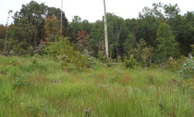 Se vende hermoso campo en la Comuna de La Comuna de La Union Region de los Rios