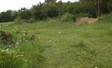 Se vende hermoso campo en la Comuna de La Comuna de La Union Region de los Rios