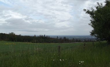 Se vende hermoso campo en la Comuna de La Comuna de La Union Region de los Rios