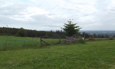 Se vende hermoso campo en la Comuna de La Comuna de La Union Region de los Rios