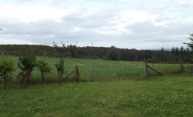 Se vende hermoso campo en la Comuna de La Comuna de La Union Region de los Rios