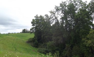 Parcelas en venta sector Huacahue a minutos de La Unión, Los Rios