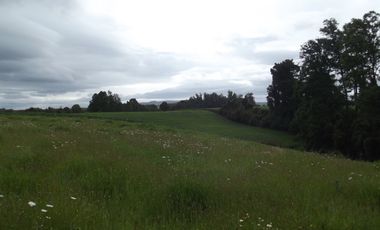 Parcelas en venta sector Huacahue a minutos de La Unión, Los Rios